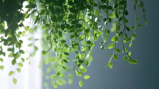 Unlocking the Beauty of Artificial Hanging Plants with Expert Insights and Installation Techniques