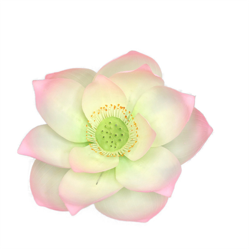 Lotus Flower Supplier for OEM2067l0