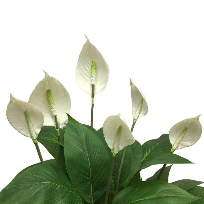High Quality Simulation Flower Smooth Sailing Factory Supplier9bse