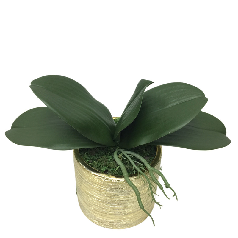 Factory Direct Highly Simulated Butterfly Orchid Leaves012q0