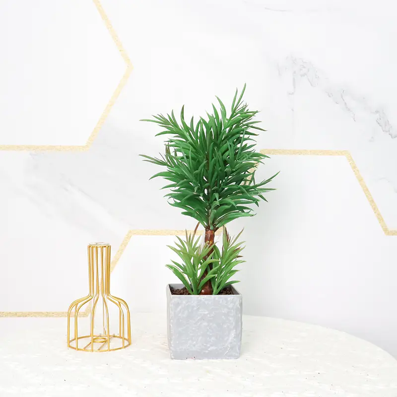 Natural Simulation Podocarpus Manufacturer