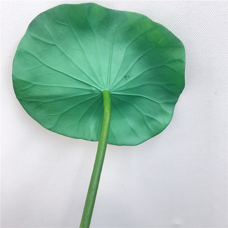 Simulated Lotus Leaf104qk2