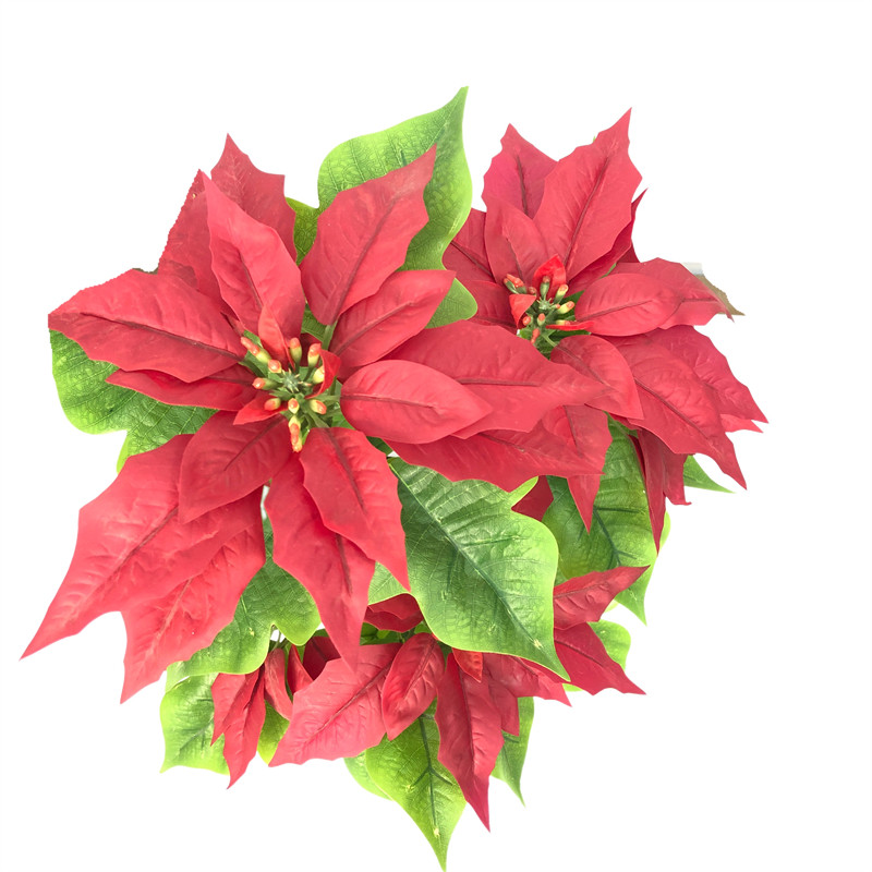 Wholesale Waterproof Simulation Christmas Flower Supplier02bzd