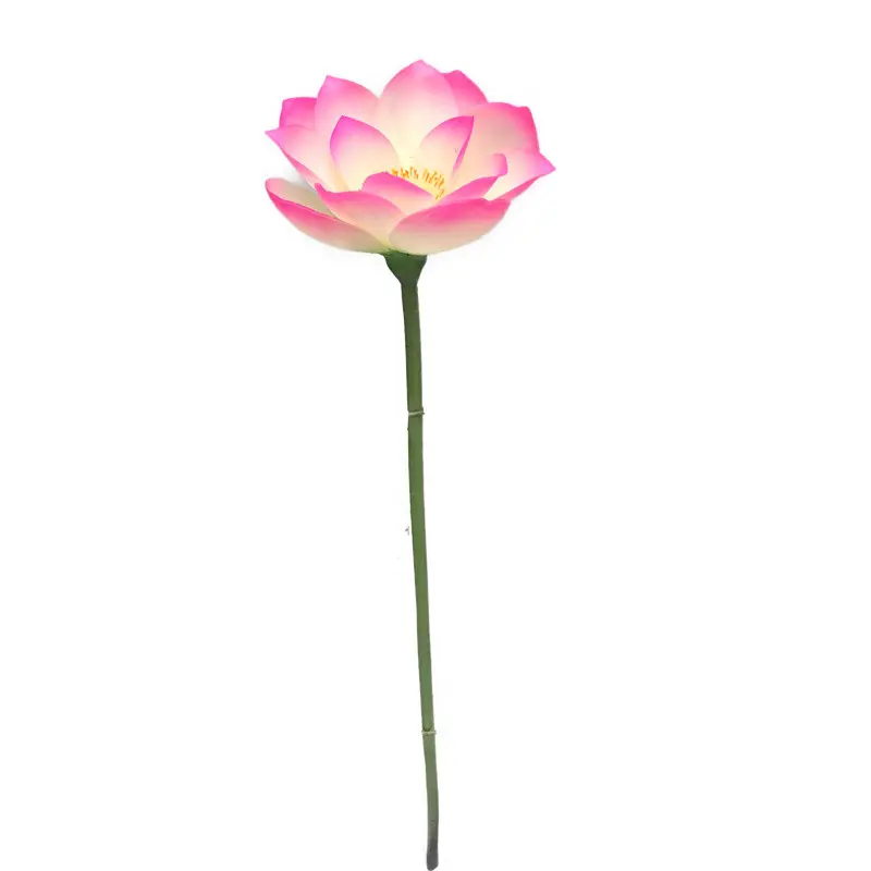 Lotus Flower Supplier for OEM