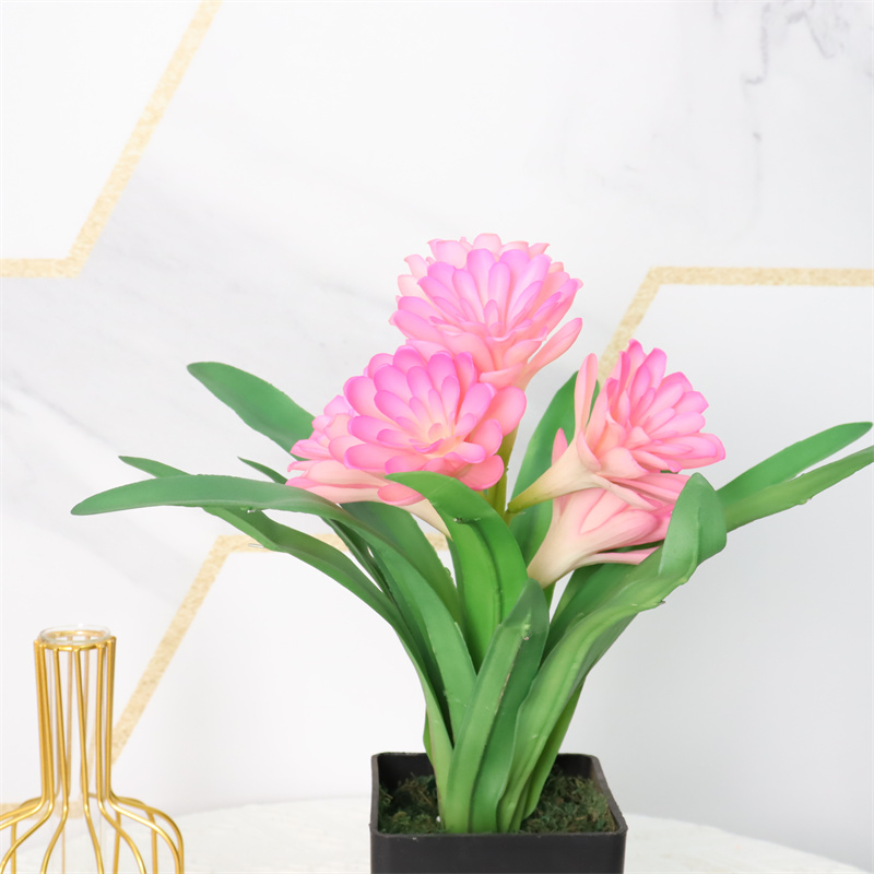 Leading Rubber Tuberose 6279-6-12 (1)qpa