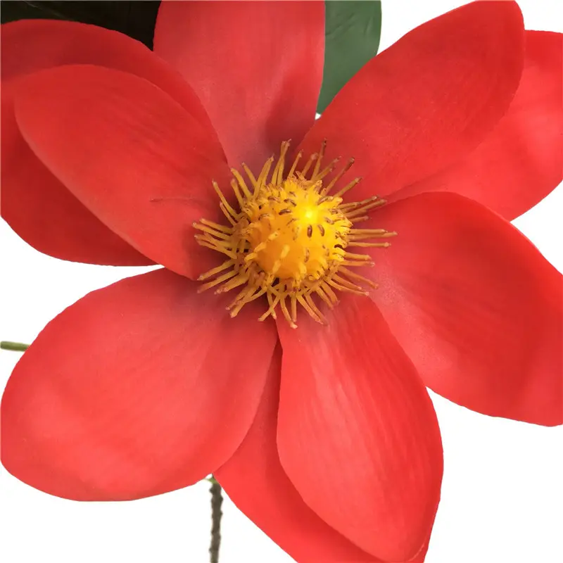Direct Simulated Magnolia 6056 (1)z6b