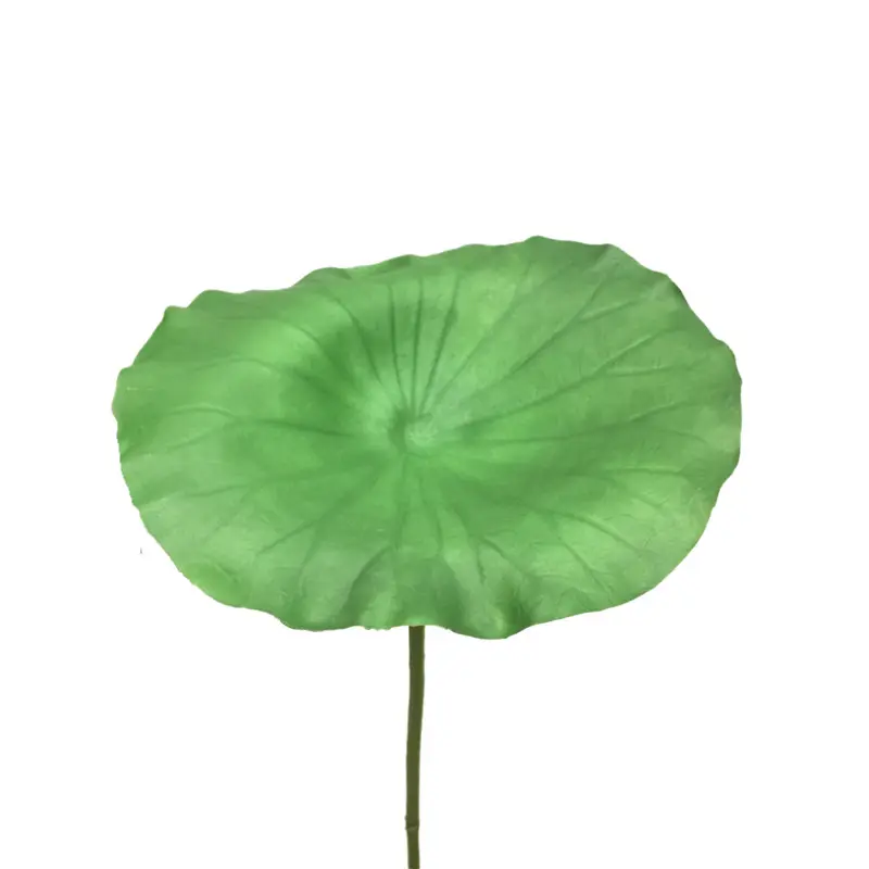 Simulated Lotus Leaf108fj6