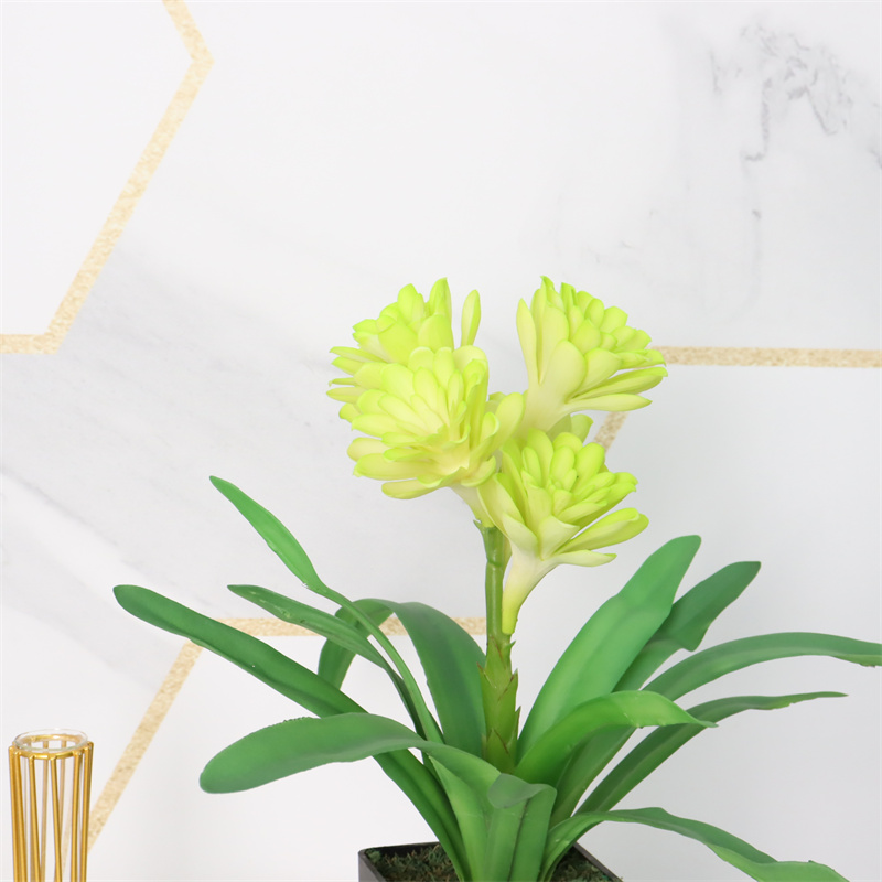 Leading Rubber Tuberose 6279-6-12 (3)bk7