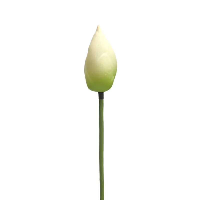 High-touch PVC Lotus Fruit: Factory Direct