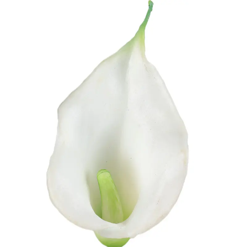 Manufacturers of Non-Fading Calla Lily Bonsai with Natural Simulation11yrv