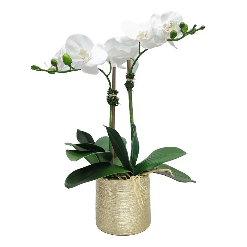 Factory Supplier of High-Simulation Phalaenopsis Bonsai