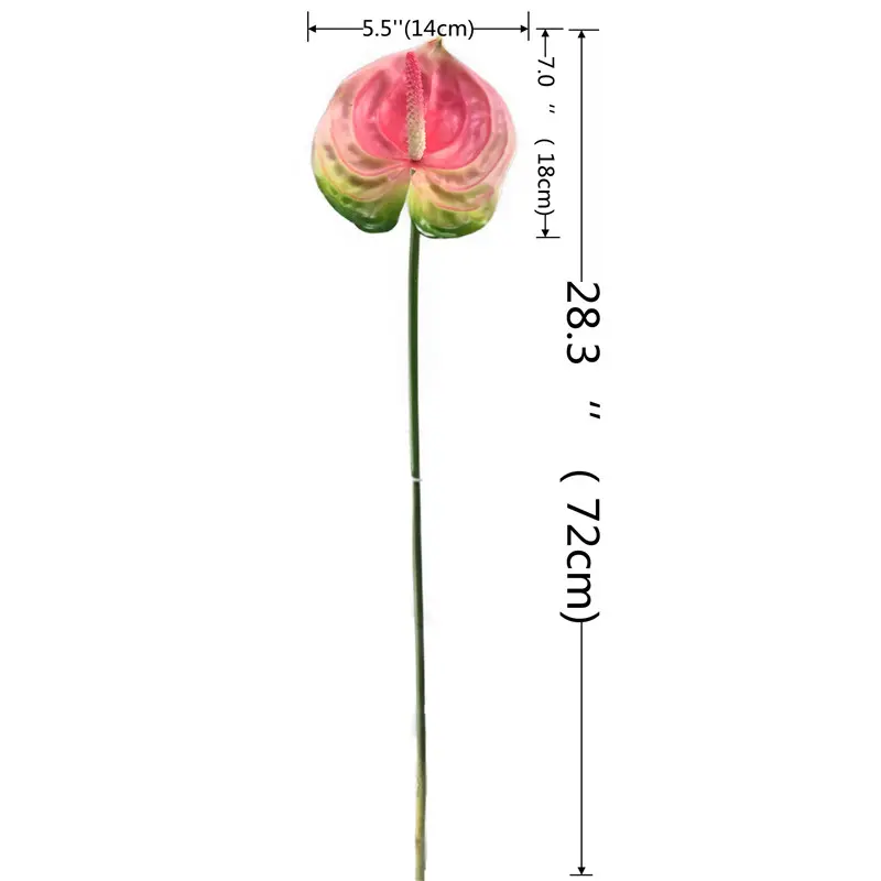 High Simulation Anthurium: Factory Direct Supplier