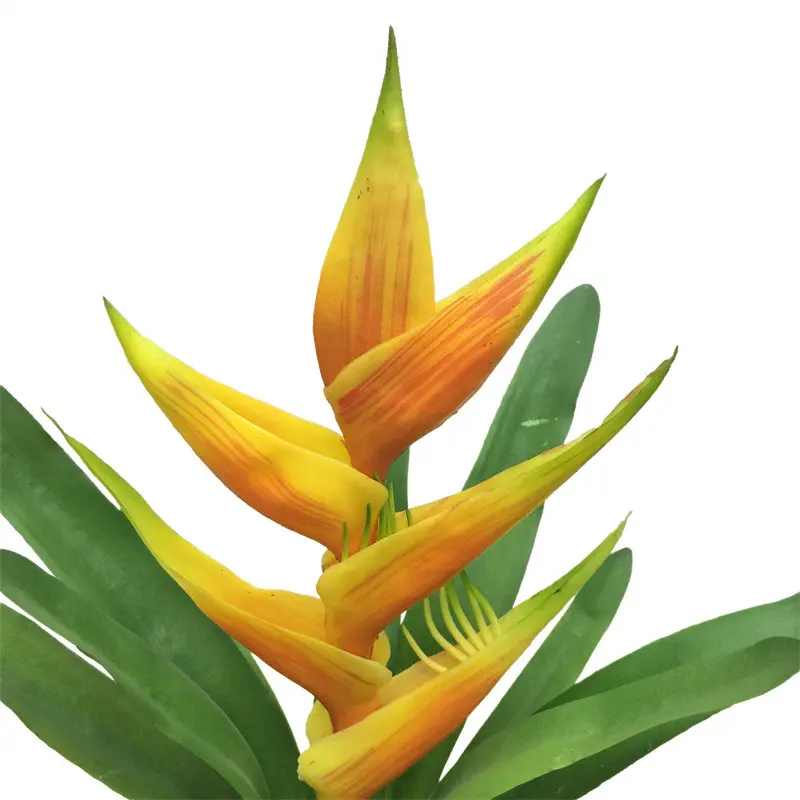 Natural Simulation Fire Phoenix Bonsai - Factory Wholesale02xxp