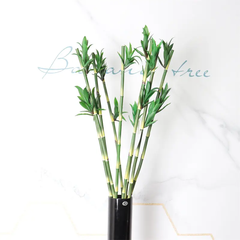 Simulated Bamboo 2148 112 (1)q4x