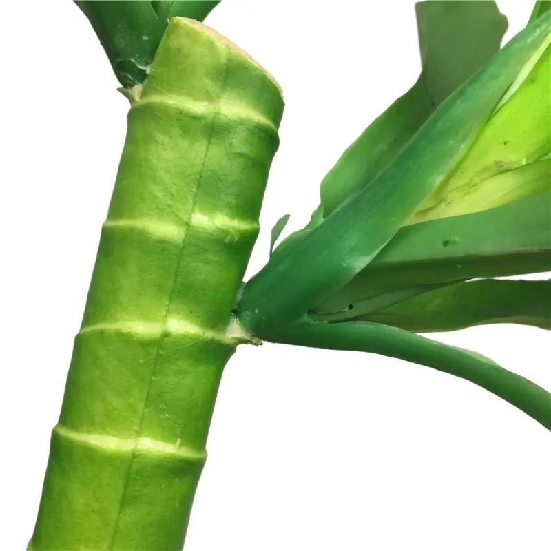 Simulated Bamboo 2216-00 (5)w0t
