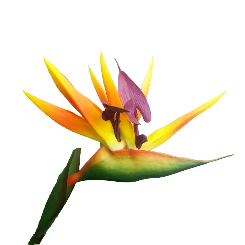 High Simulation PVC Bird of Paradise Bonsai10zkk