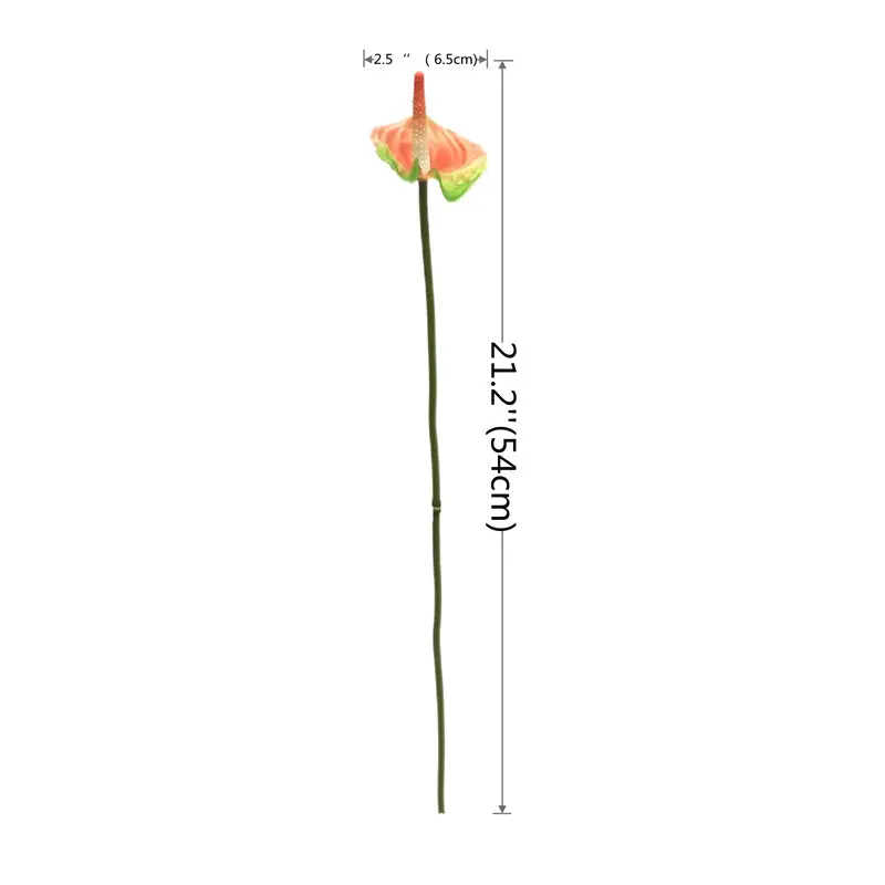 High Simulation Anthurium: Factory Direct Supplier