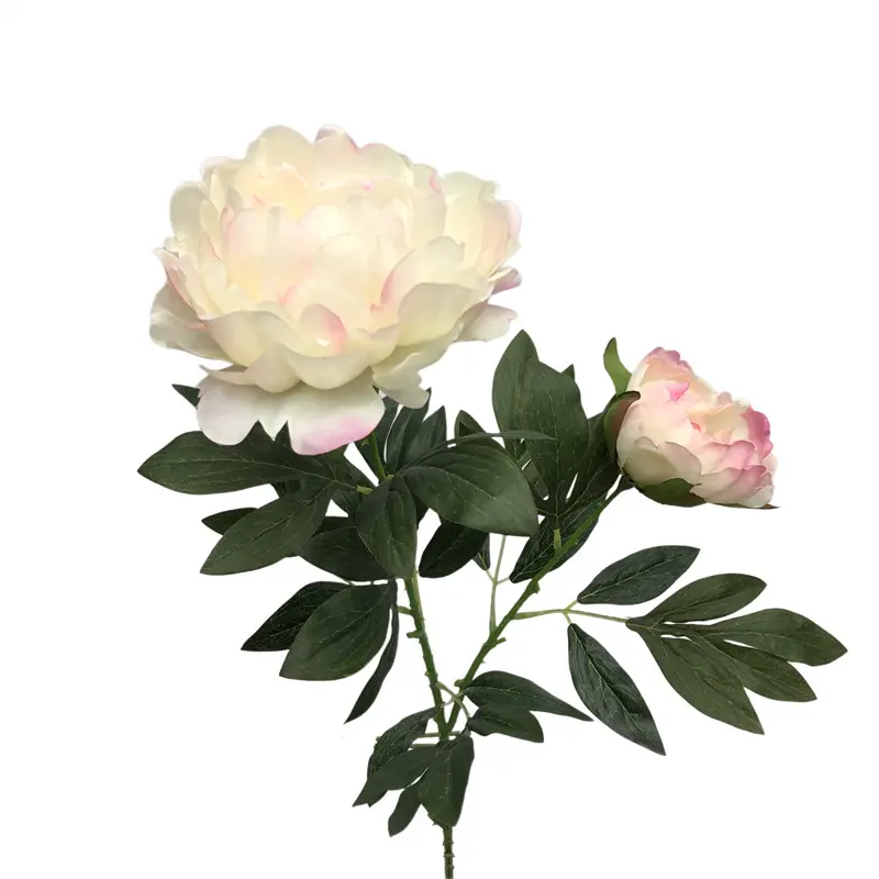 High-Simulation Peony Flower1015k7