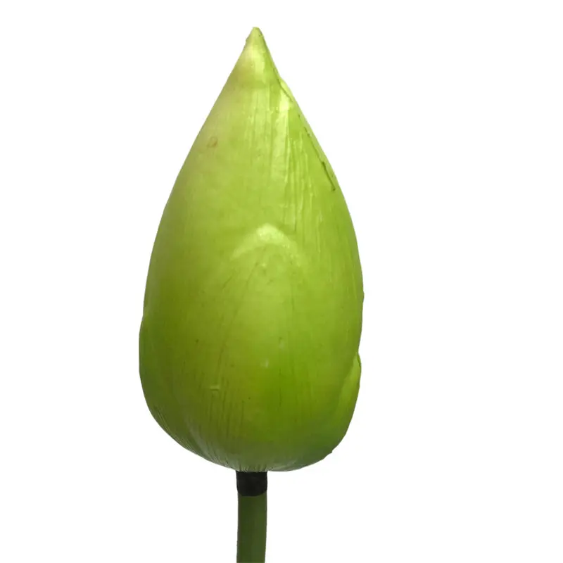 High-touch PVC Lotus Fruit017zq