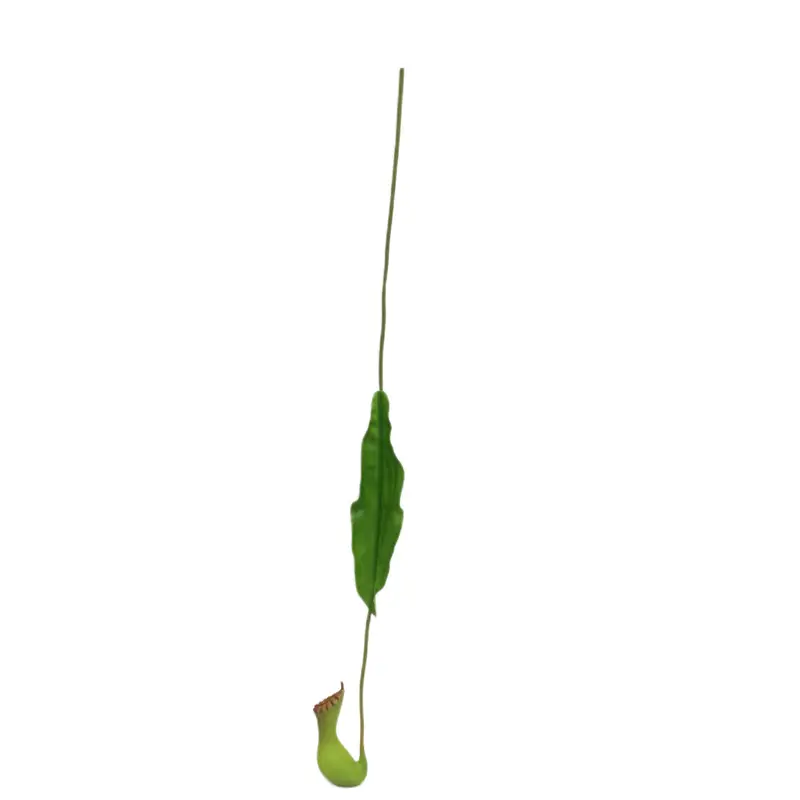 High Simulation PVC Pitcher Plants for Indoor and Outdoor Decor