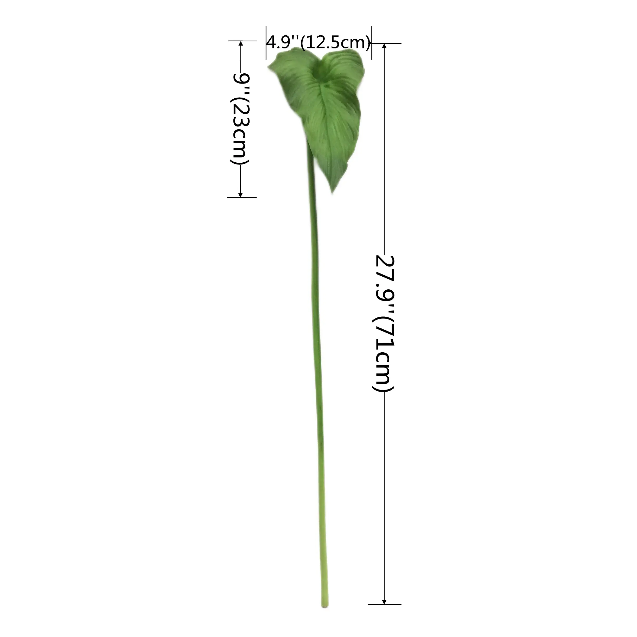 Natural Simulation Horseshoe Leaf Manufacturer