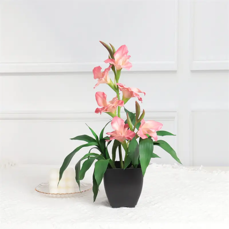 Ginger Flower Bonsai 29n8
