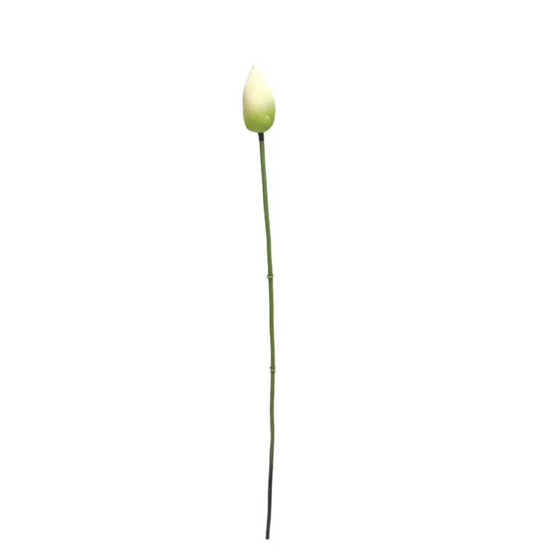 High-touch PVC Lotus Fruit: Factory Direct