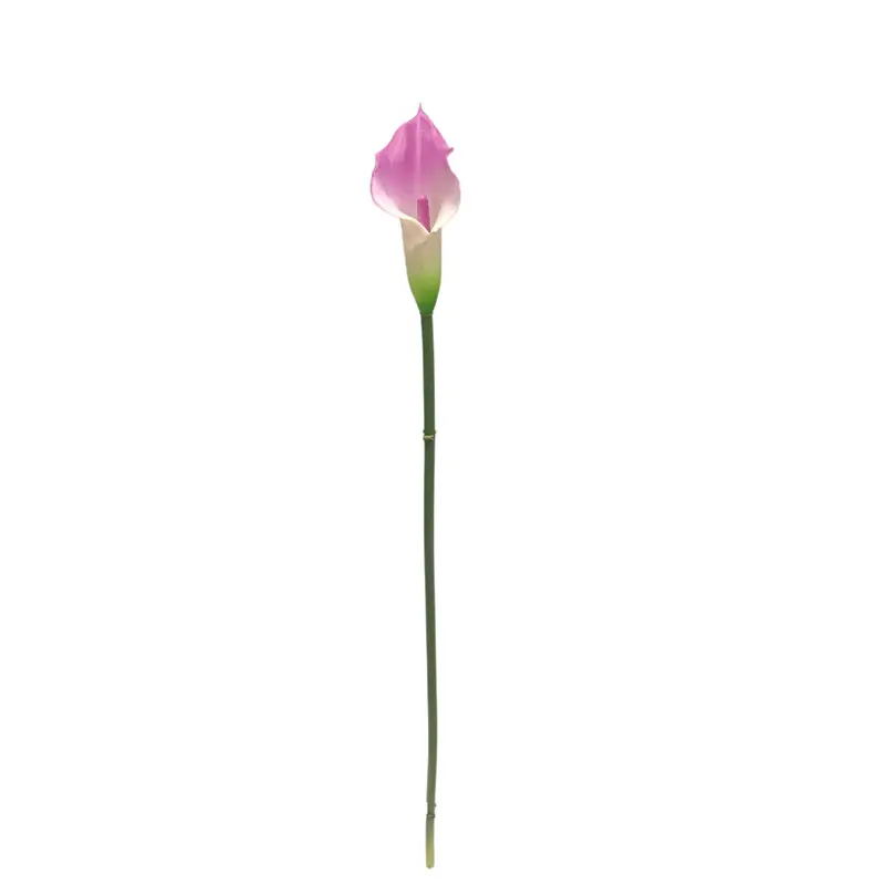 Manufacturer of Waterproof Calla Lily with Natural Simulation