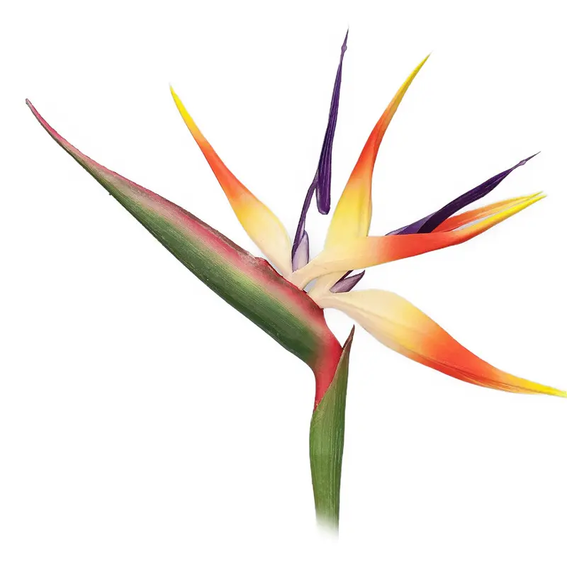 High Simulation PVC Bird of Paradise Bonsai1201b2