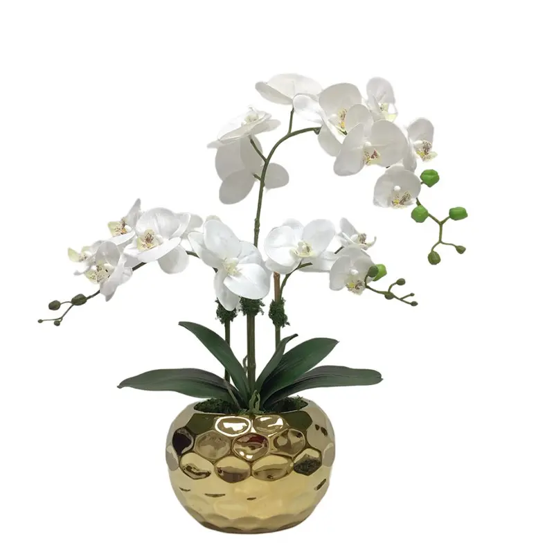 Factory Supplier of High-Simulation Phalaenopsis Bonsai