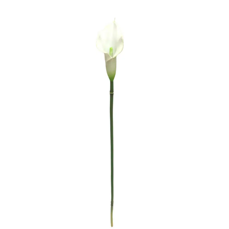Manufacturer of Waterproof Calla Lily with Natural Simulation