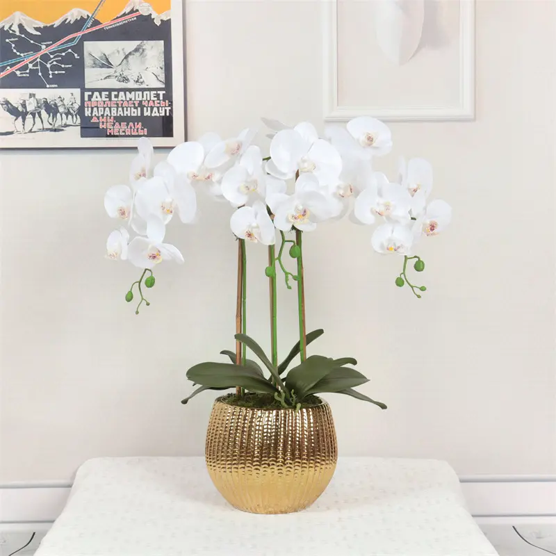 Factory Supplier of High-Quality Phalaenopsis Artificial Flower135nv