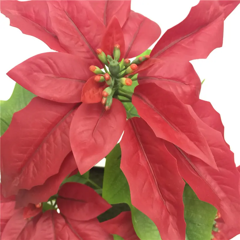 Wholesale Waterproof Simulation Christmas Flower Supplier01qae