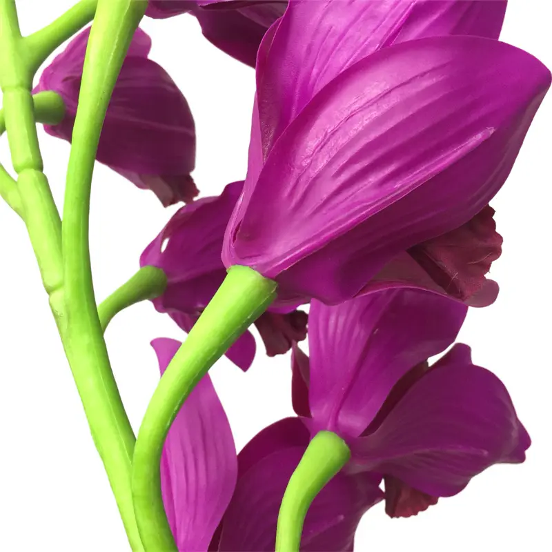 Simulated Cymbidium8198 (7)7bv