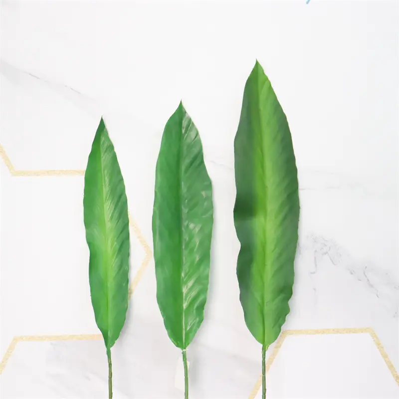 PVC Bird of Paradise Leaf 000 (1)xr2