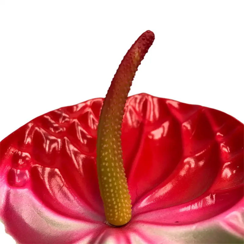 High Simulation Anthurium02769
