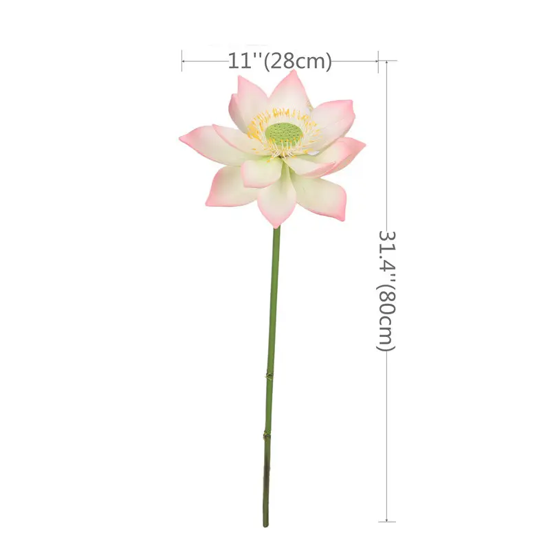 Lotus Flower Supplier for OEM