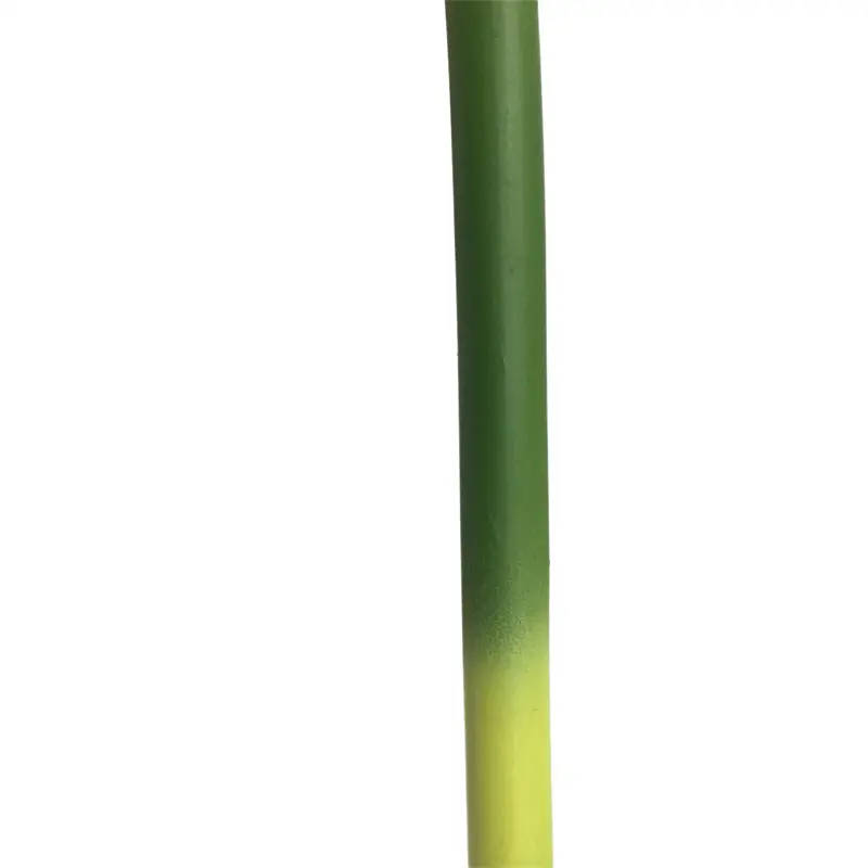 Simulated Bamboo 2067-22 (2)1w5