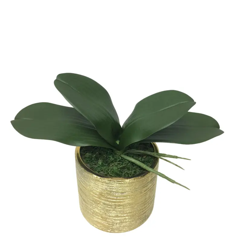 Factory Direct Highly Simulated Butterfly Orchid Leaves