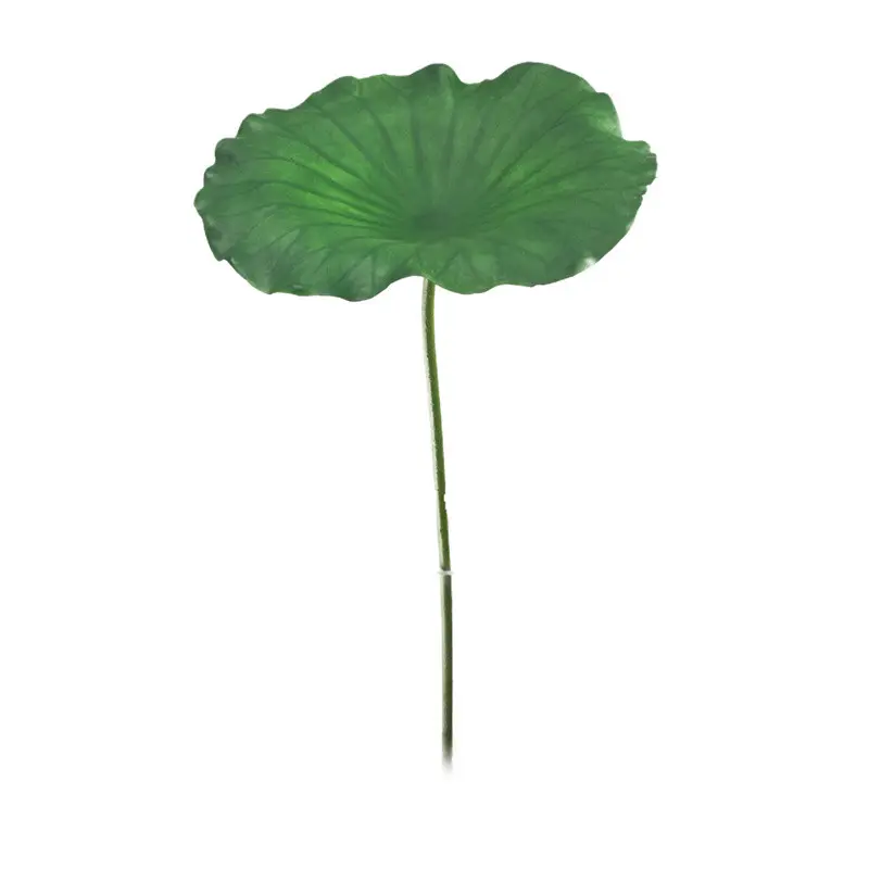 Simulated Lotus Leaf: Factory-Made Beauty