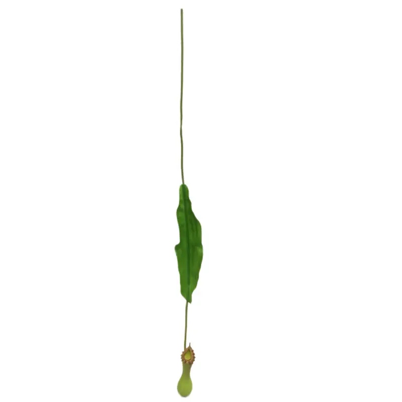 PVC pitcher plants 6034  11 (3)nv1