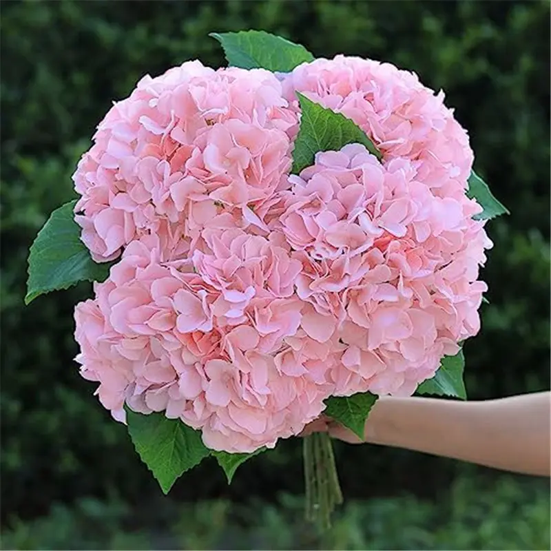 High Quality Simulation Hydrangea Factory Direct198ko